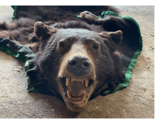 Home organization and decluttering in York County by The Edited Maison